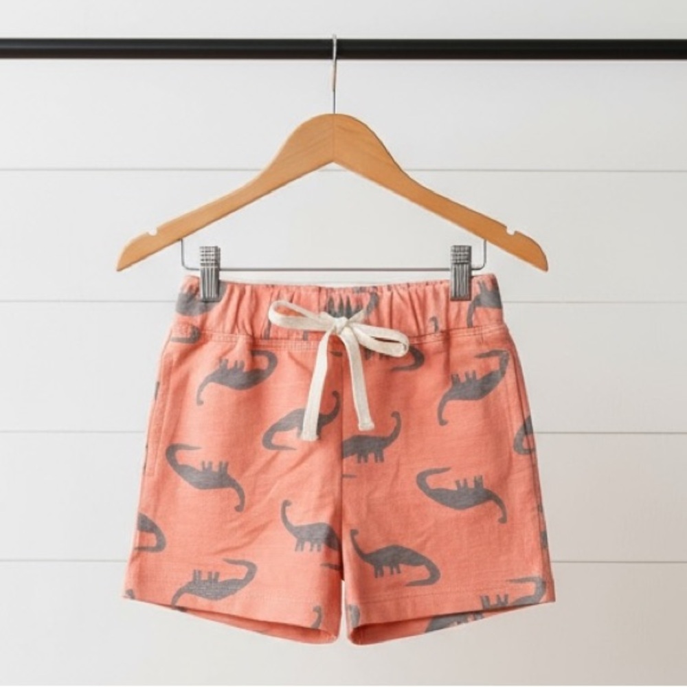 Modern Moments Baby Shorts – Dinosaur Print – Size 6-9M (NWOT)